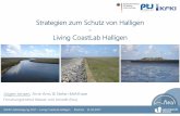 2. Projekttreffen Living CoastLab Halligen 2017... · Hallig A, C, D (b) langfristige Strategien zum Erhalt der Halligen Hallig A, C, D Bild: Deicke (Geowissenschaftliches Zentrum