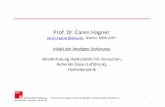 Prof. Dr. Caren Hagner - desy.dedaniel/vorlesung/ws2012/Mechanik-WS1213-Hydrostatik.pdf · Prof. Dr. CarenHagner, Physik fürBiologie und Zahnmedizin, WS2012/13 Prof. Dr. Caren Hagner