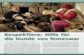 RespekTiere: Hilfe für die Hunde von Temeswar · Andrei, sowie Diana Bucsa, Krankenschwester im städtischen Spital, als unentbehrliche Helfer mitgekommen. Im Hundeasyl: Medikamente