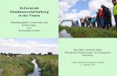Schonende Gewässerunterhaltung in der Praxis · Schonende Gewässerunterhaltung in der Praxis Modellprojekte, Fortschritte und Erfahrungen aus Schleswig-Holstein Dipl.-Biol. Gabriele