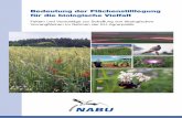 Bedeutung der Flächenstilllegung für die biologische Vielfalt · sem Thema ist beim NABU sowie unter erhältlich. Flächenstilllegung und ökologische Vorrangflächen – Fakten