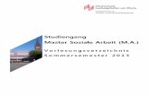 Studiengang Master Soziale Arbeit (M.A.) Methode der kollegialen Beratung ein. Open space ist vorgesehen