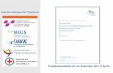 Projektpräsentation am 24. November 2017 in Berlinbildungsrat-pflege.de/wp-content/uploads/2014/10/2017-11.24.-DBR_DIP... · Vorstudie DBR – DIP – Systematik von Fort- und Weiterbildungen