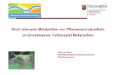 Nicht relevante Metaboliten von Pflanzenschutzmitteln im ... · Nicht relevante Metaboliten von Pflanzenschutzmitteln im Grundwasser, Fallbeispiel Metazachlor Werner Beck, DLR Rheinhessen-Nahe-Hunsrück,
