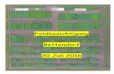 Feldbesichtigung Bettendorf 20 Juli 2016 - demofelder.lu Kartoffeln Visite Juli...Simone Marcy-Nilles LTA Ettelbruck langer Vegetationsdauer (5-6 Monate) die Verunkrautung der Bestände
