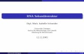 RNA Sekundärstruktur - gobics.degobics.de/lectures/ws05/Einfuehrung_bi_folien/09_RNA_Sek_Struktur.pdf · Anwendungsbeispiele Bsp: RNA Alignment Aktuelle Forschung Projekt von Prof.