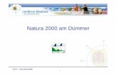 Natura 2000 am Dümmer - lgln.niedersachsen.de · 2 FD 67 – Team Natura2000 1. Einführung in die Thematik Verpflichtung einer hoheitlichen Sicherung der Natura 2000-Gebiete durch