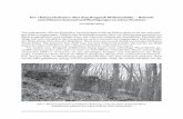 Der »Kleine Herkules« über dem Bergpark Wilhelmshöhe ... Herkules.pdf · Der »Kleine Herkules« über dem Bergpark Wilhelmshöhe 77 te Grundrisszeichnung bei (Abb.3). Sie zeigt
