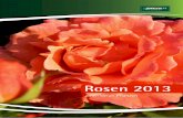 Rosen 2013 - mobil.der-neue-katalog-ist-da.demobil.der-neue-katalog-ist-da.de/files/images/hersteller/jeddeloh/gk... · 6 Edelrosen Edelrosen sind die Klassiker in jedem Rosengarten.