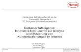 Customer Intelligence: Innovative Instrumente zur Analyse ... · analysis Single level Multi level Link structure Browser Operating systems Stresstest Traffic Fulfillment of requests