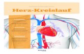Eine Publikation des Reflex Verlages zum Thema Herz-Kreislauf · Eine Publikation des Reflex Verlages zum Thema Herz-Kreislauf Krankheitsbilder An zahlreichen Stellen in unserem Herzen