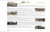 Elefant - SWR Kindernetz413450/property=... · Wilde Asiatische Elefanten leben in geringer Zahl noch in Indien, Thailand, Birma und in Teilen Indonesiens. Lebensraum Afrikanische