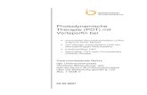 Photodynamische Therapie (PDT) - g-ba.de · vier Papillenflächen oder Visus kleiner oder gleich 0,4p hatten den geforderten klinisch relevanten Vorteil nach 24 Monaten. Bei Patienten