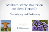 Multiresistente Bakterien aus dem Tierstall - bfn.de (Kontakt zu konventioneller Tierhaltung), alle