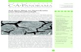 NACHRICHTEN Ausgabe 2/2004 CAPANORAMA file2 C •A •PROLOG Aufbruch zu neuen Ufern Das Jahr 2004 ist bisher ereignisreich und schwierig zugleich gewesen – für Deutschland und