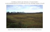 Torfabbau östlich des Holtsees in Friedrichsfehn ... · Torfabbau östlich des Holtsees in Friedrichsfehn Landschaftökologische Einschätzung von Dipl. Biologe Hergen Erhardt Geplante