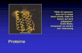 Proteine - archiv.ever.ch Vortraege/Proteine.pdf · Proteine: Charakteristik Hochmolekulare, in ihrer Struktur komplexe Naturstoffe Enthalten als Grundelemente Aminosäuren Kommen