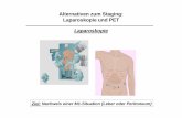 Alternativen zum Staging: Laparoskopie und PET · Laparoskopie und PET Laparoskopie Ziel: Nachweis einer M1-Situation (Leber oder Peritoneum) Laparoskopie kann hilfreich sein bei