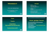 Wirbelsäule II - uniklinikum-saarland.de · Spondylitis / Spondylodiszitis Therapieziele: Infektsanierung Wiederherstellung der WS-Stabilität Prevention / Korrektur einer WS-Deformität