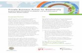 Private Business Action for Biodiversity · (PBAB) hat sich zum Ziel gesetzt, erfolgsversprechende Mechanismen und Instrumente zur Förderung biodiversitätsfreundlicher Produktion
