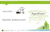 LWB DOMIN - agroforst-info.de · Agroforstwirtschaft im Landwirtschaftsbetrieb Domin Exkursion 5.Forum Agroforstsysteme Peickwitz 1. Dezember 2016  Bilanz (aus praktischer Sicht)