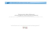Tumoren des Plexus choroideus (Kurzinformation) · PDF fileTumoren des Plexus choroideus (Kurzinformation) 1. Krankheitsbild Tumoren des Plexus choroideus, auch Choroid-Plexus-Tumoren