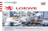 LOEWE-Schwerpunkt STORE-E – Stoffspeicherung in Grenz- · PDF fileKoordinator des LOEWE-Schwerpunkts STORE-E Justus-Liebig-Universität Gießen. ABSHLSSBERIHT LOEWE TORE-E 3 Projektinhalte