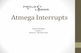 Atmega Interrupts - Projektlabor Forum · •AVR Mikrocontroller besitzen 17 interne Interruptverktoren •Interne Interrupts sind durch interne Funktionen des MCs realisiert, Wie