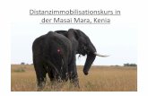 Distanzimmobilisationskurs in der Masai Mara, · PDF fileDetails kurz zusammengefasst • Organisiert durch Dr. Tanner, LMU – m.tanner@lmu.de, 089 2180 5899 • Durchgeführt durch