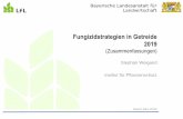 Fungizidstrategien in Getreide Institut f£¼r Pflanzenschutz Fungizidstrategien in Wintergerste - Einmalbehandlung