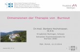 Dimensionen der Therapie von Burnout - pukzh.ch Hochstrasser HS14.pdf · Therapie hergeleitet aus der wissenschaftlichen Literatur (Stress, Depression, Angst), wenigen Therapiestudien