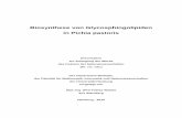 Biosynthese von Glycosphingolipiden in Pichia pastoris · Die Nomenklatur der Sphingobasen und Fettsäuren erfolgt in Anlehnung an die Empfehlungen der IUPAC IUB Joint Commission
