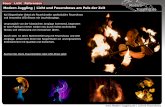 Modern Juggling | Licht und Feuershows am Puls der Zeitmodern-juggling.de/download/broschuere_web.pdf | Licht & Feuershows Kai Siegenthaler bietet als Feuerkünstler spektakuläre