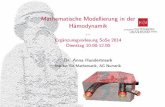 Mathematische Modellierung in der H amodynamik · Mathematische Modellierung in der H amodynamik... Erg anzunsgvorlesung SoSe 2014 Dienstag 10.00-12.00 Dr. Anna Hundertmark Institut
