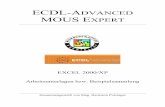 ECDL-A MOUS E · ECDL-ADVANCED MOUS EXPERT EXCEL 2000/XP Arbeitsunterlagen bzw. Beispielsammlung Zusammengestellt von Mag. Hermann Pulsinger