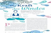 Die Kraft des Windes - eve-yoga.de · Üben der Bhandas oder verschiedener Pranayama-Techniken verfeinern und vertiefen. Denn wie Orit Sen Gupta schreibt: „Die Vayus stellen die