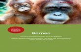 APR 17 Bund GRP Borneo, Reiseprogramm · indonesische Seite Borneos (Kalimantan) geniessen und auch zahlreiche verschiedene Vogelarten beobachten können. Vielleicht entdecken Sie