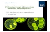 SP Molekulare Biologie & Biotechnologie der Pflanzen ... · (Pro- und eukaryotische Mikroorganismen bis zu Höheren Pflanzen) Zelluläre Ebene – Organellen & Zellkompartimente Molekülverbände