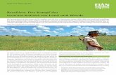 Brasilien: Der Kampf der Guarani-Kaiowá um Land und Würde · Die Guarani-Kaiowá werden seit dem 19. Jahrhundert immer wieder aus ihren Gebieten vertrieben, um Raum für Landwirtschaft