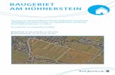 BaugeBiet am HüHneRstein - bad-homburg.de · Kreuz (BAB 5 und BAB 661) an. Im Osten grenzen landwirtschaftliche Flächen mit Anlagen der überregionalen Stromversorgung an. Das folgende