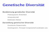 Genetische Diversität - plantbreeding.boku.ac.atplantbreeding.boku.ac.at/957308/03_Genet_Diversitaet.pdf · Genetische Diversität . Bestimmung genetischer Diversität . Phänotypische