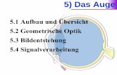 5) Das Auge - rohr.aiax.derohr.aiax.de/DasAuge5_Folien[1].pdf · Macula lutea. Das schematische Auge Brechungsindizes Krümmungsradien [mm] Abstand vom Hornhautscheitel [mm] optische