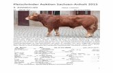 Fleischrinder Auktion Sachsen-Anhalt 2015 · Fleischrinder Auktion Sachsen-Anhalt 2015 1 II. JUNGBULLEN Rasse: Limousin 24. NIXON Pp* DE 15 015 06666 NIXON (KP Neptun x Santa Fee),