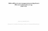Wolfsmanagementplan Brandenburg 2019 · tail.php/bb1.c.310418.de ist die aktuelle Verbreitung im Internet veröffentlicht. Beim Monitoring werden durch das LfU bei Bedarf auch geschulte