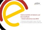 Elektromobilität mit Batterie und Brennstoffzelle ... · Geels, F. W. (2002). Technological transitions as evolutionary reconfiguration processes: a multi-level perspective and a