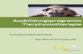 Ausbildungsprogramm Tierphysiotherapie ·  I 02662 -3705 I tierphysiothek 3 Herzlich Willkommen in der Tierphysiothek Akademie In dieser Broschüre finden Sie alle …
