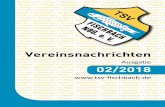 02/2018w4vh900lk.homepage.t-online.de/web/wp-content/uploads/2019/04/VH2_2018... · Gewinnung von weiteren Sponsoren (Fischbach / Brunn / Birnthon) Benefizspiele Crowdfunding Überprüfung