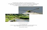 Libellenkundliche Untersuchungen an der restrukturierten ... · PDF fileZell an der Pram (Bezirk Schärding) und liegt auf einer Seehöhe von 370 m. Das Einzugsgebiet der Pram weist