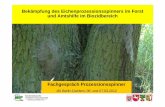Bekämpfung des Eichenprozessionsspinners im Forst und ... · Begrenzung des EPS sind vorhanden ! • Zuständigkeit der NW-FVA besteht nur im Bereich Pflanzenschutz, nicht im Hygiene-