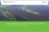 Renaturierung von Auen in Deutschland - bmu.de · Renaturierung von Auen in Deutschland Inhalt Vorbemerkung 4 Zustand der Flussauen in Deutschland 6 Wege zur Auenentwicklung 10 Zurück